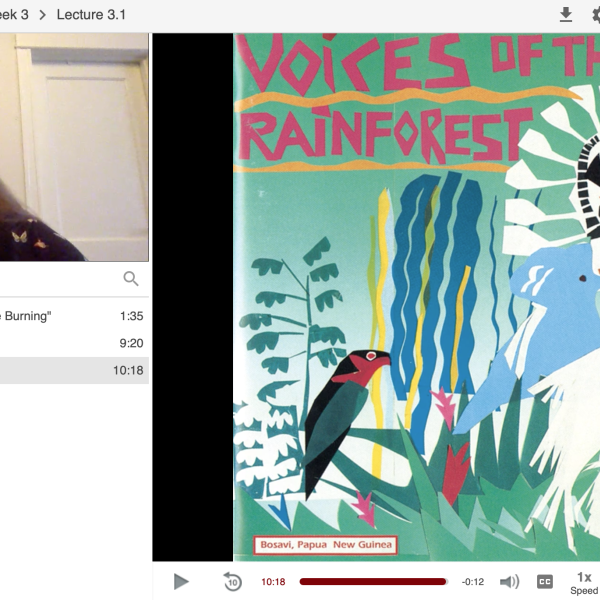 Screenshot from Ailsa Lipscombe in a Panopto recorded lecture showing her face on the top left next to an image of album art that says "Voices of the Rainforest"